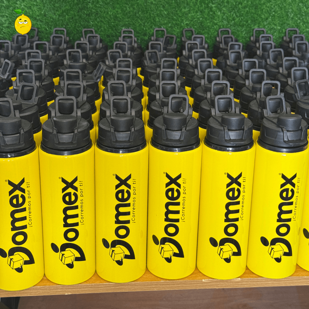 Botella de Aluminio - 750 ML - Lemon Creativo