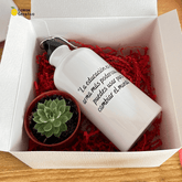 Box Gift | Plant lovers - Lemon Creativo