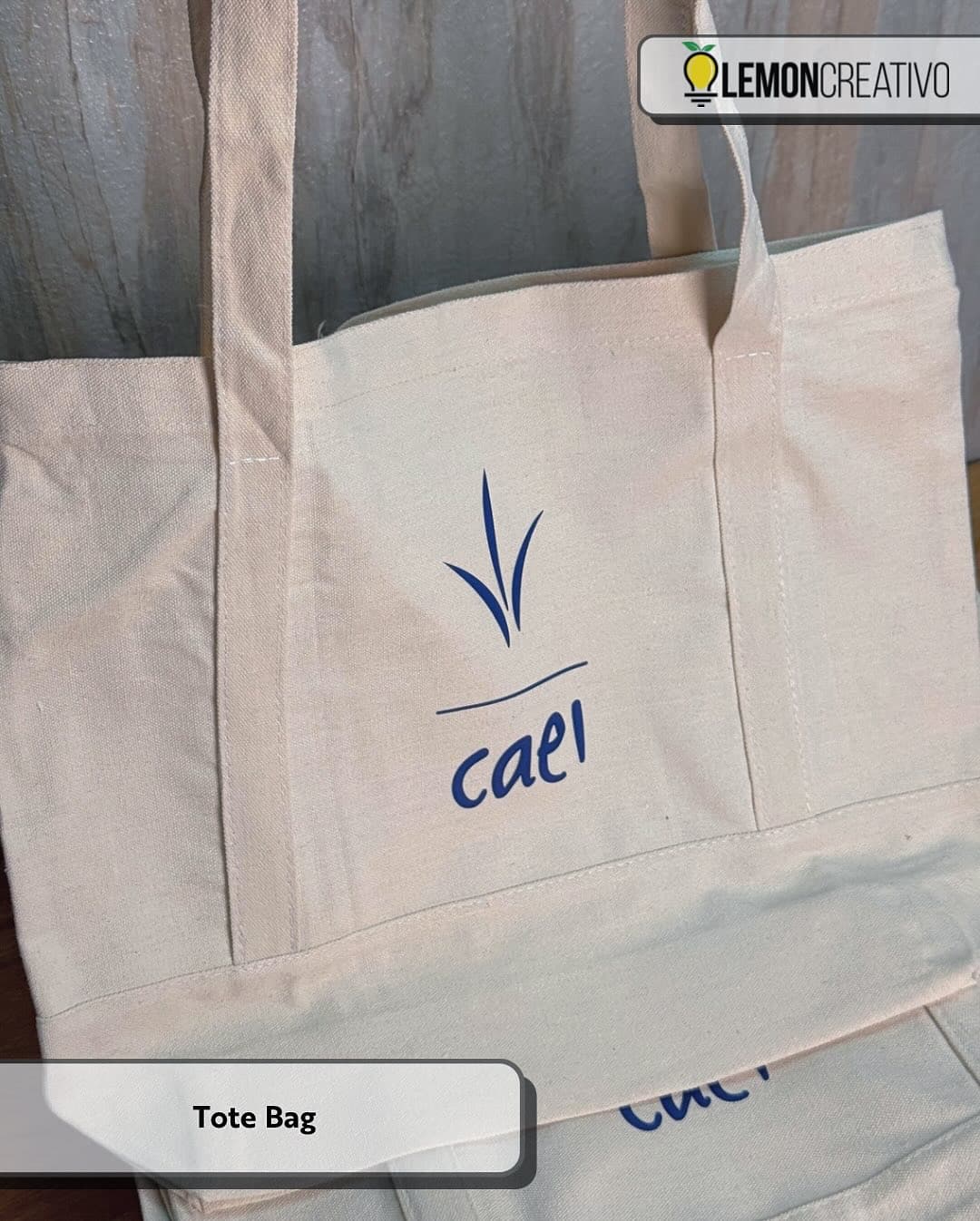 Tote bags del Día de las Madres para CAEI y La Finca (6)