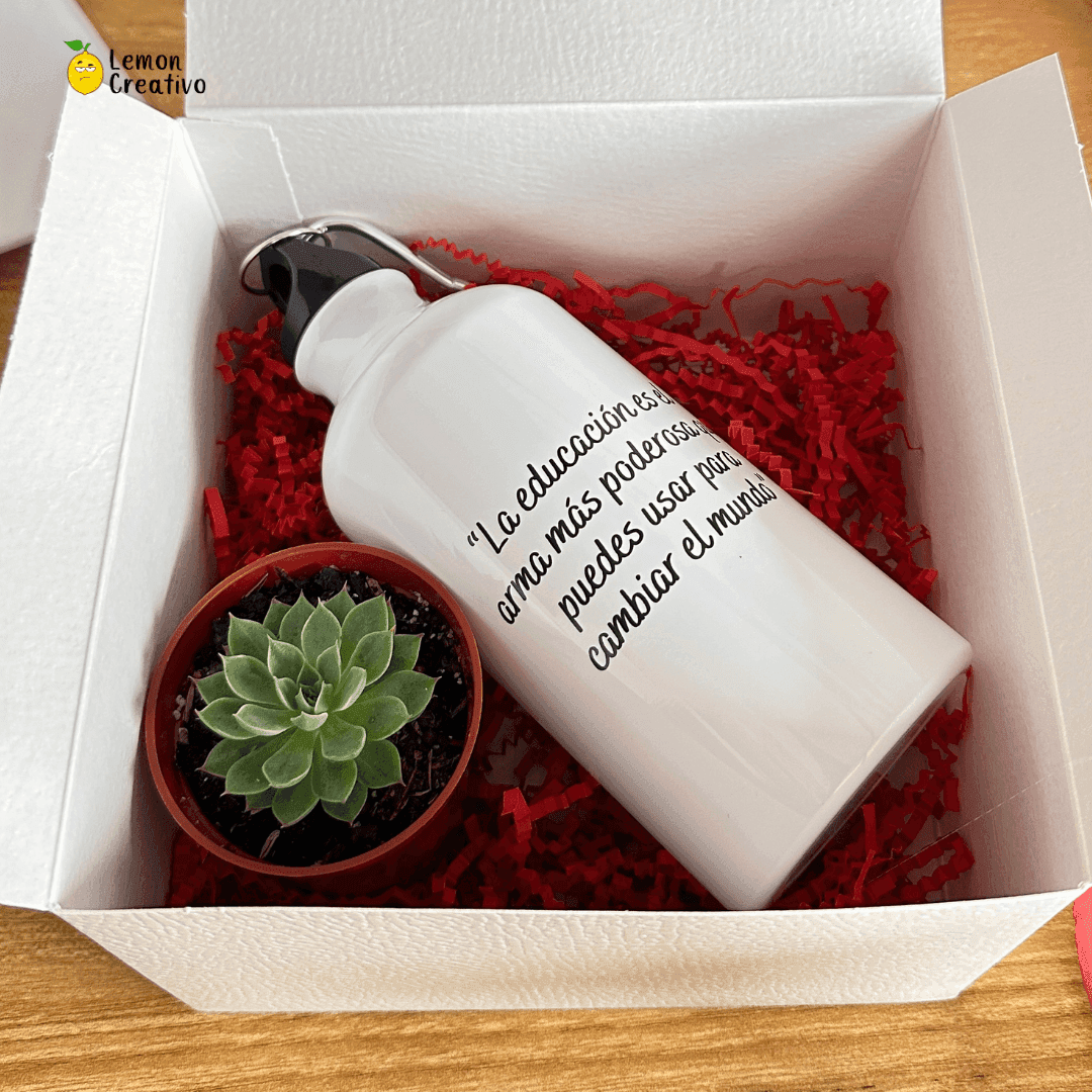 Gift Box | Plant lovers